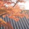 紅葉　２