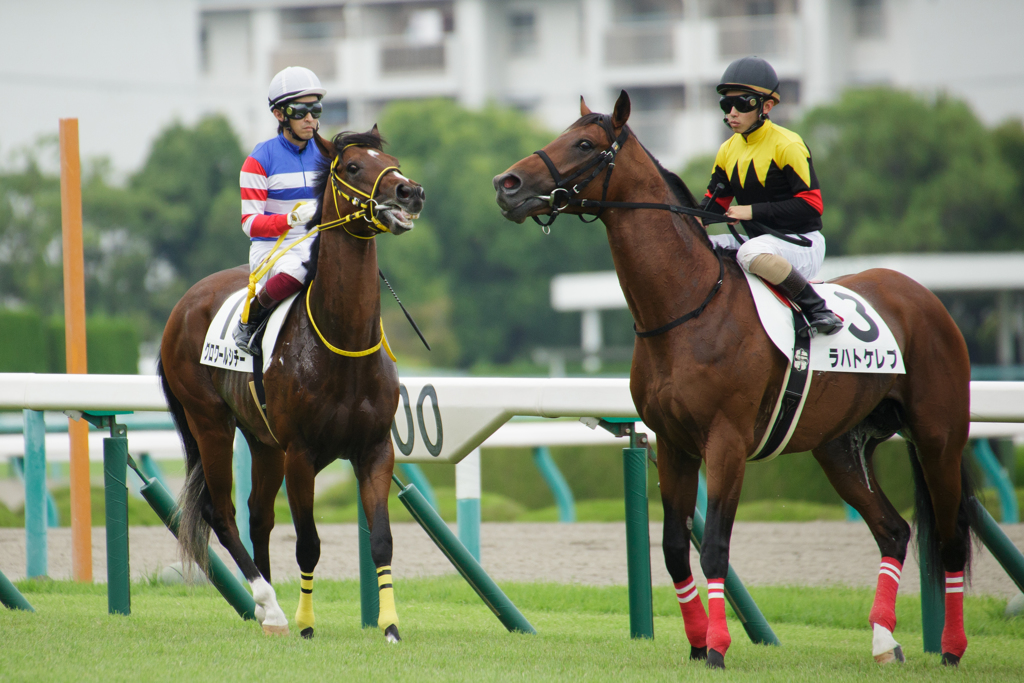 お馬さん