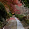 道