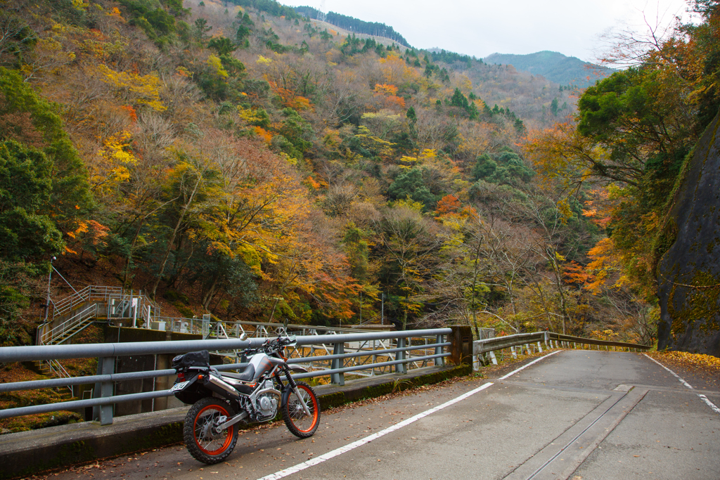 紅葉ツーリング