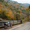 紅葉ツーリング