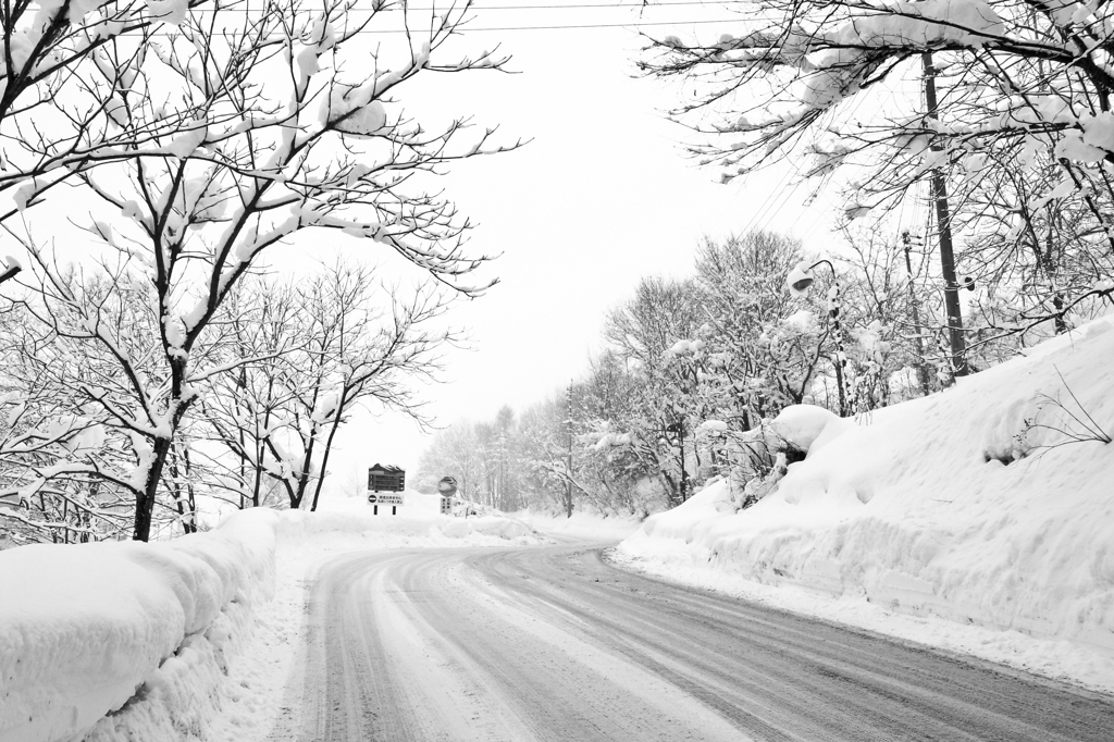 2011.1.12-15 栂池　６