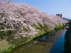 R1147918