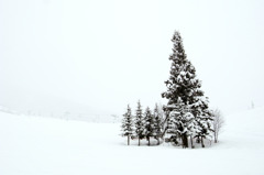 2011.1.12-15 栂池　４