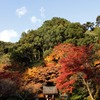 紅葉　１２