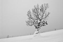 2011.1.12-15 栂池　５