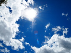 夏の日差し