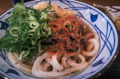 UDON