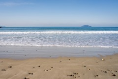 海良いぜ！