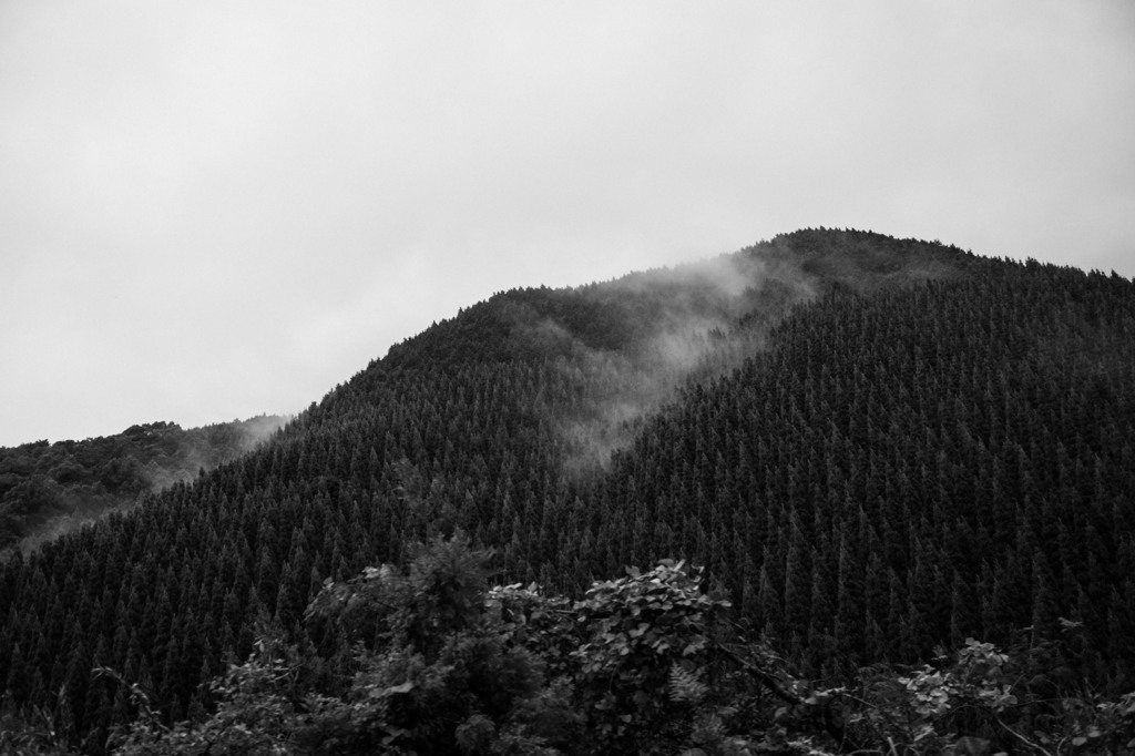 山霧