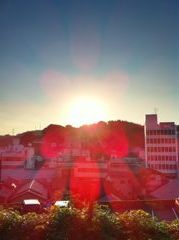 THE SUN