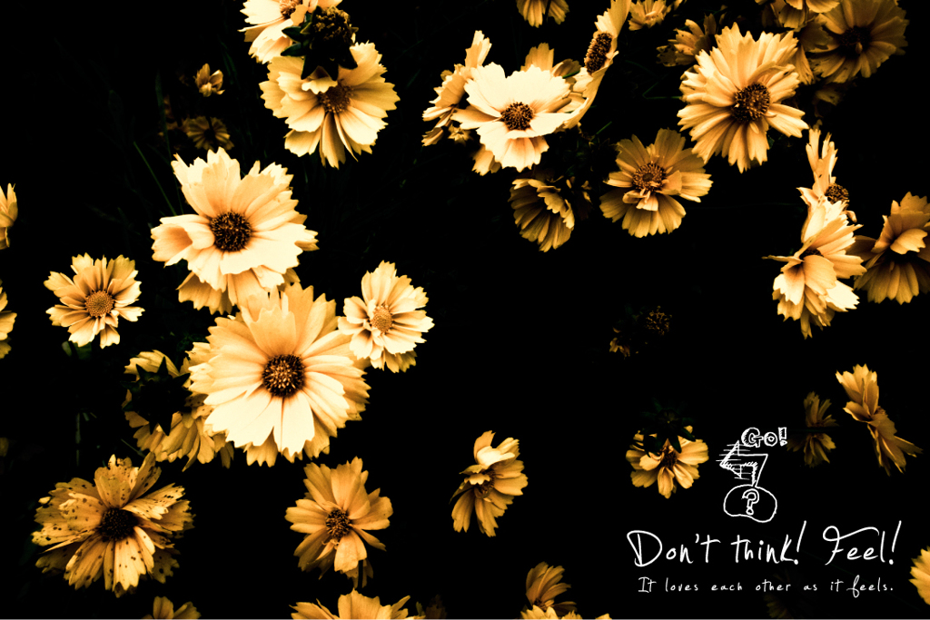 Don't think! Feel! #1