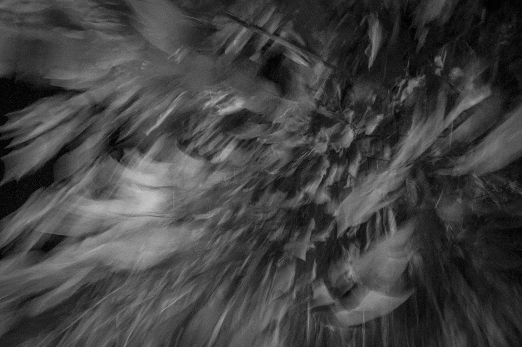 Rapid stream001