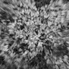 Rapid stream002