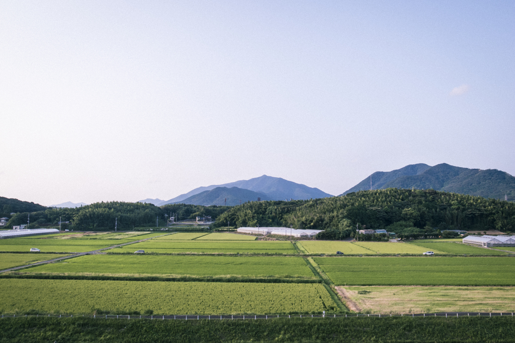 田園