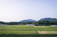 田園