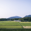 田園