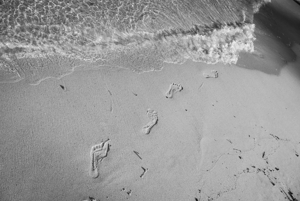 Footprint