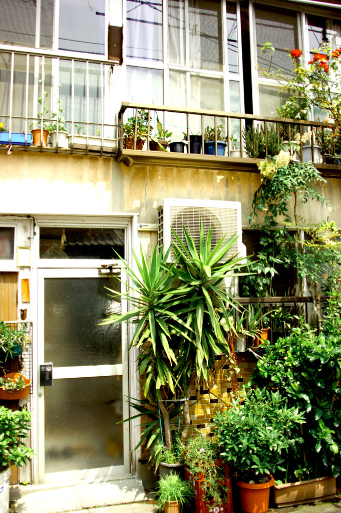 It is a shop in old times.