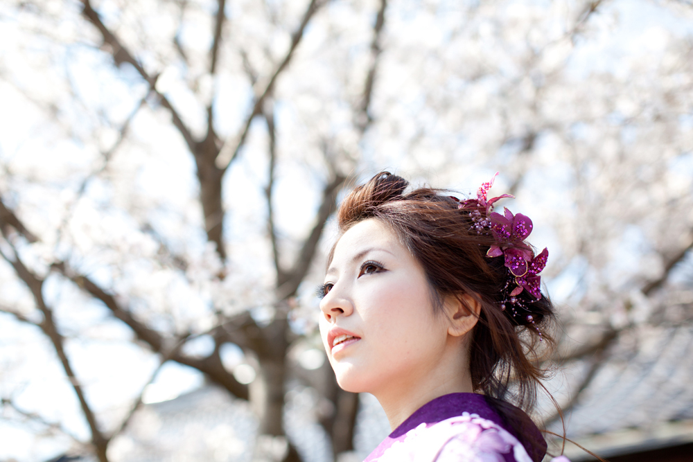 桜と紫
