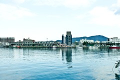 岸