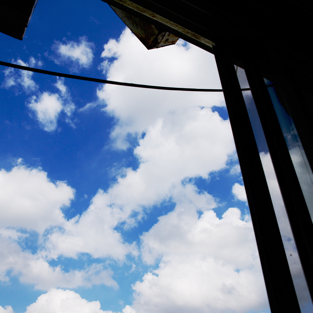vivid sky