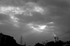 SDIM0361