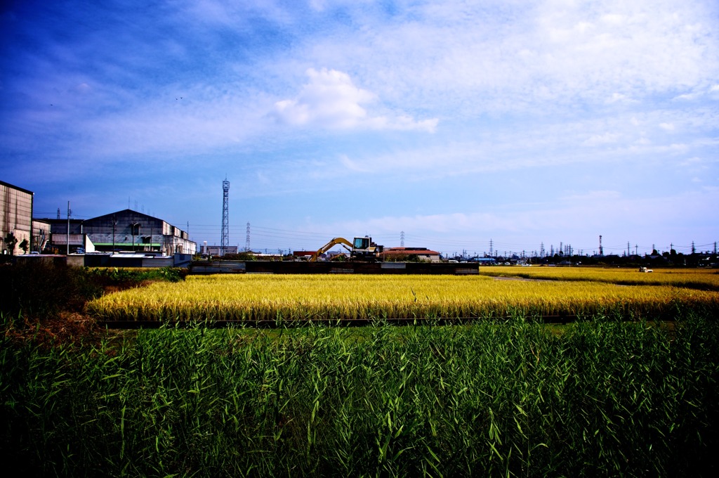 田中現場