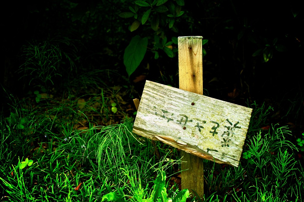 糞
