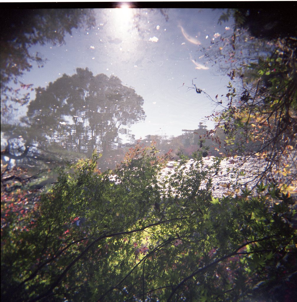 ase002076