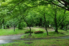 上小田井公園１