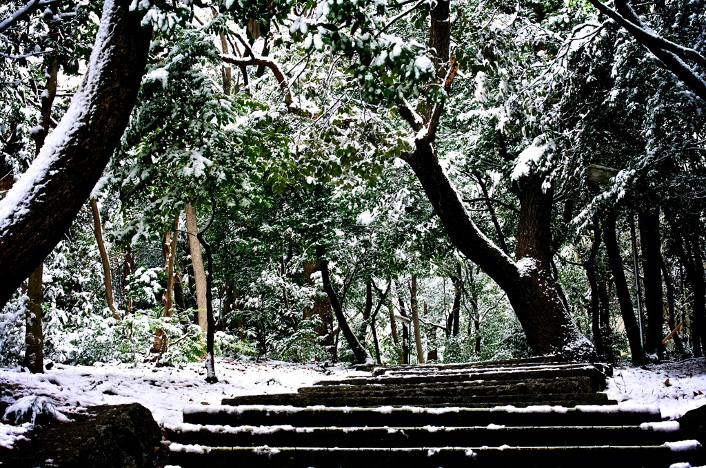 降雪後