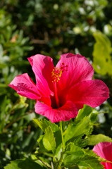 IMGP0979