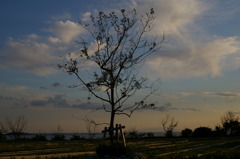 IMGP0544