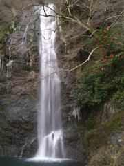冬の箕面大滝