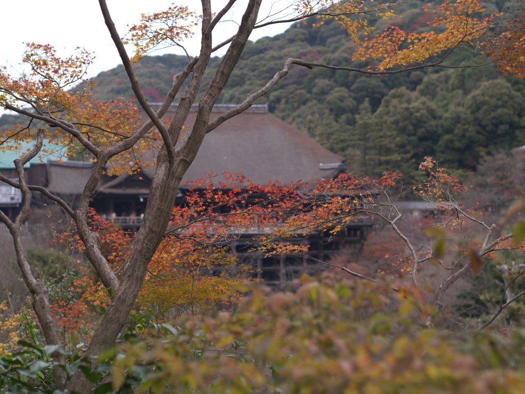 清水寺の晩秋