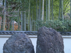竹林