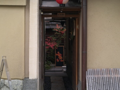 こんにちは