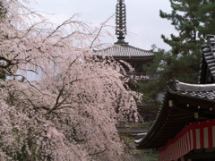 醍醐寺にて