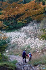 伊吹山の紅葉