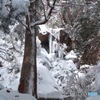 氷瀑の大黒滝