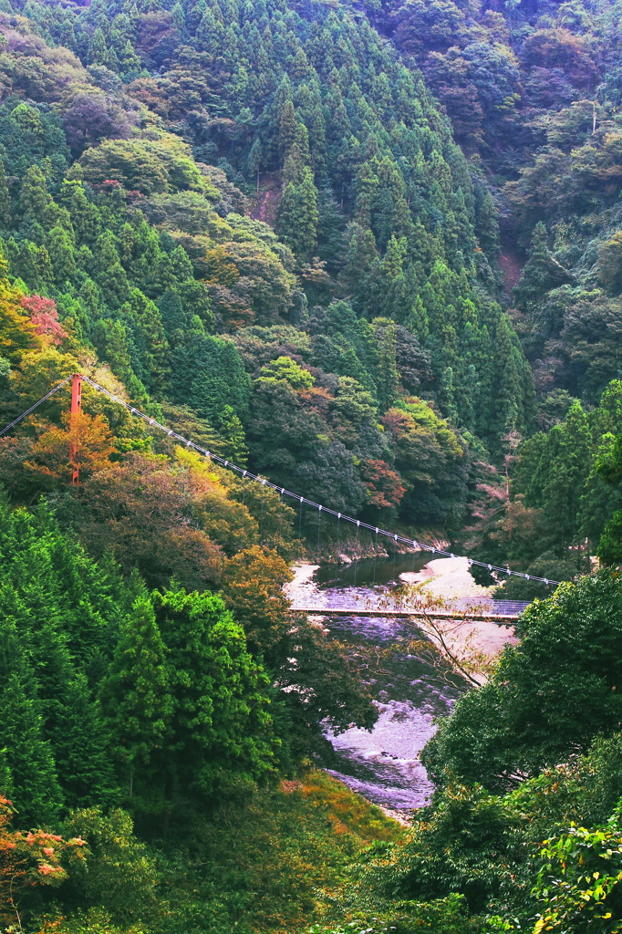 多良峡と吊り橋