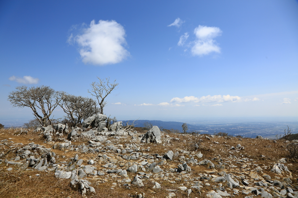 中部の秋吉台