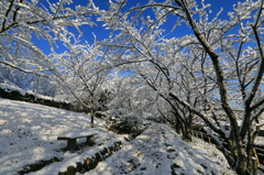 午前中限定の絶景