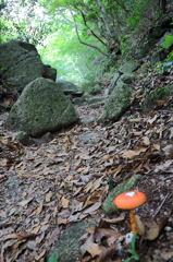 登山道