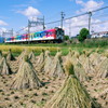 湯の山線
