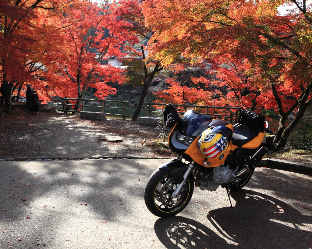 渋滞知らずの紅葉狩り