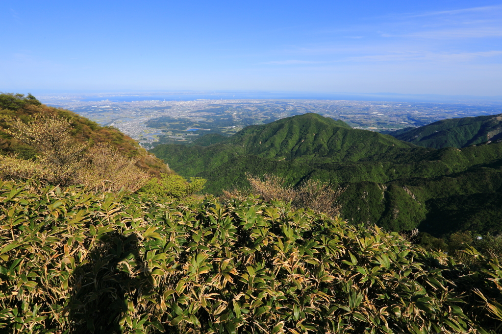 伊勢湾を望む