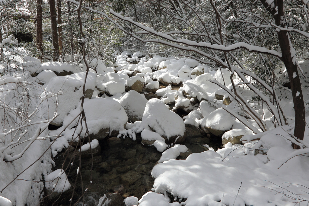 雪渓