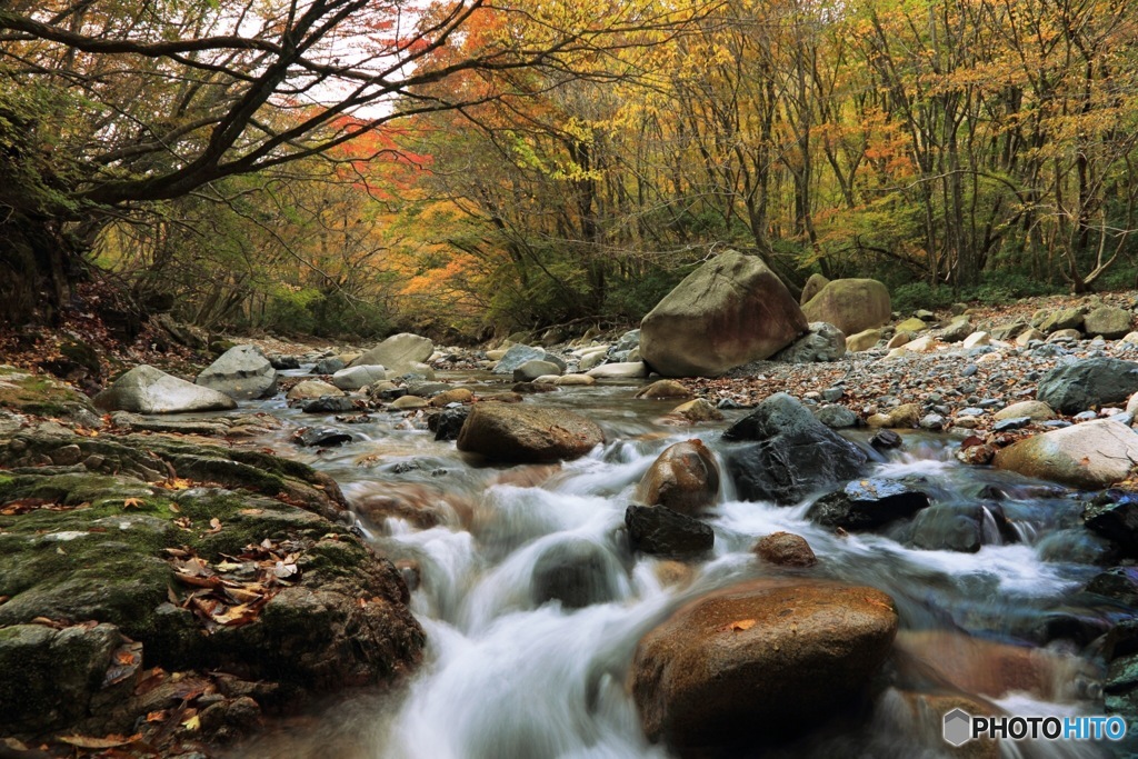 鈴鹿の上高地II